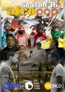 afropop 16 collage