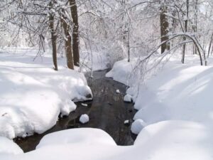 stream flowing through a snowy wooded area