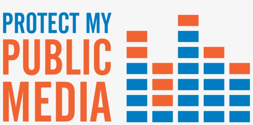 poster for protect my public media